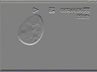 /album/galleria-foto-basi-lunari-ufo-nello-spazio/uf-lun9dd-jpg/